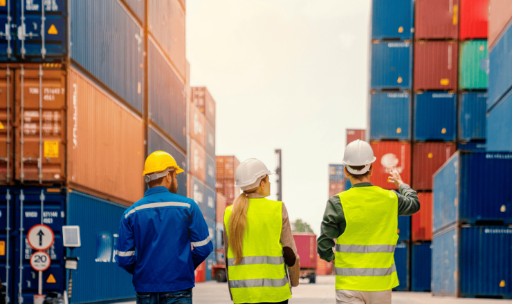 Managing The Supply Chain